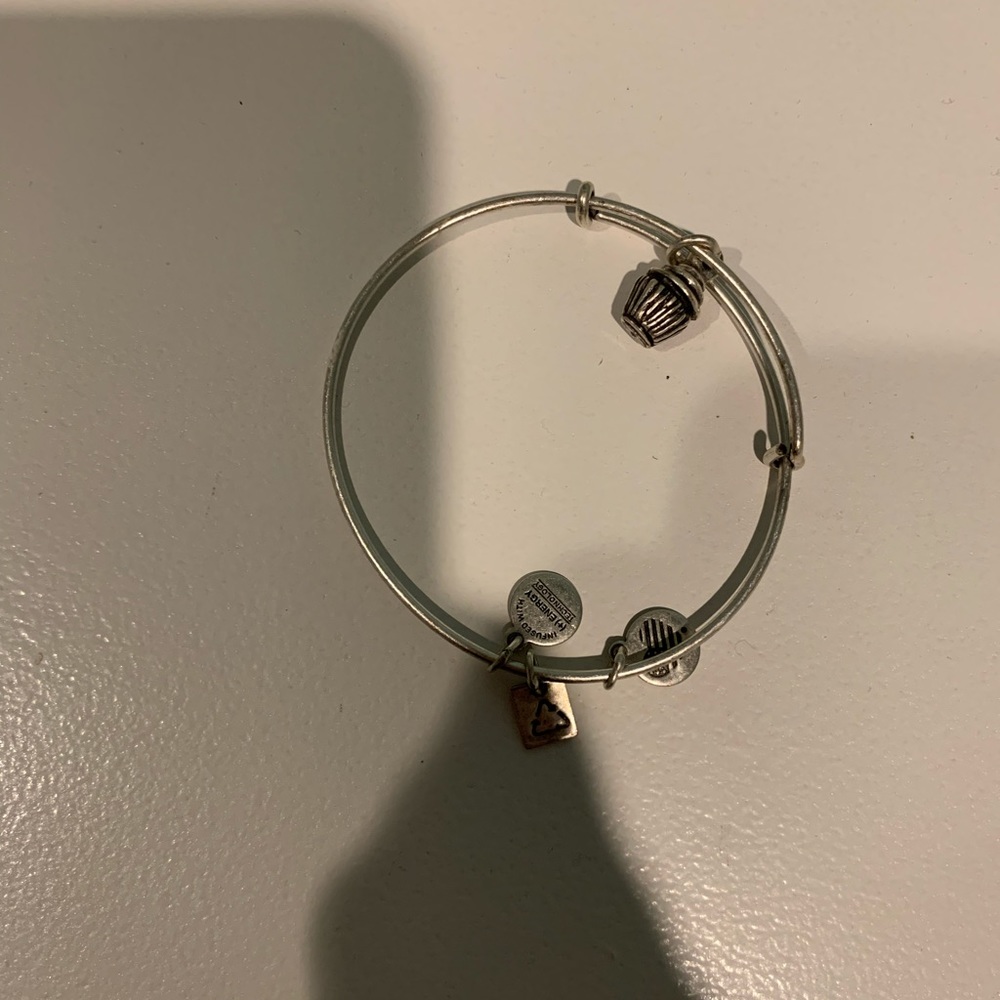 Alex and ani birthday bracelet